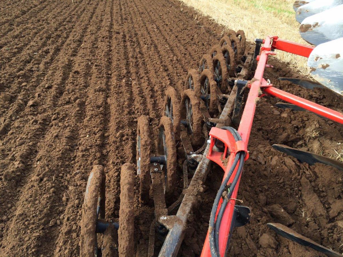 Wał doprawiający Andpak